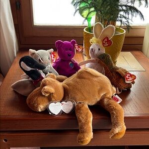 Ty Beanie Babies Plush Toy Collection - Brown, Purple, White